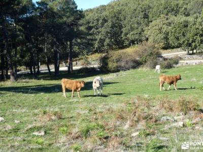 Real de San Vicente; clubes de montaña madrid hacer senderismo en madrid garganta divina del cares s